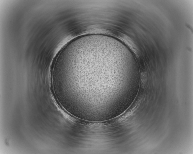 X0000098021046200804111253