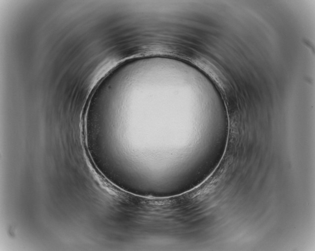 X0000098021047200804111253