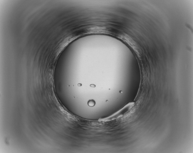 X0000098021049200804111253