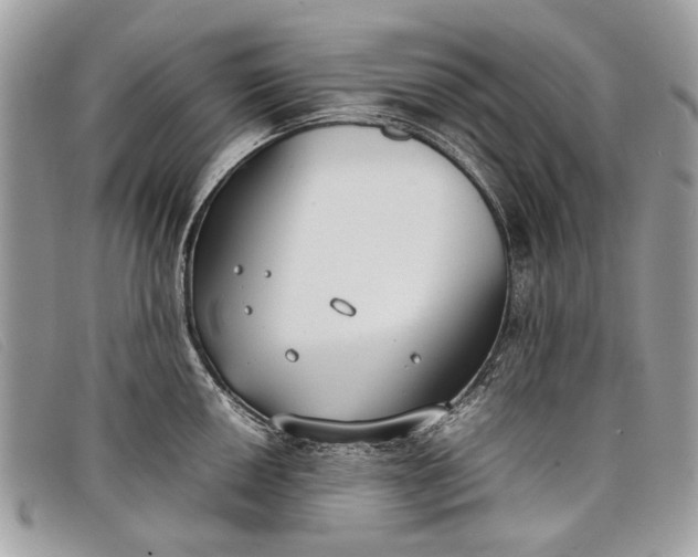 X0000098021050200804111253