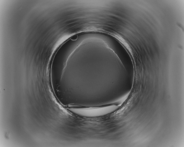 X0000098021053200804111253