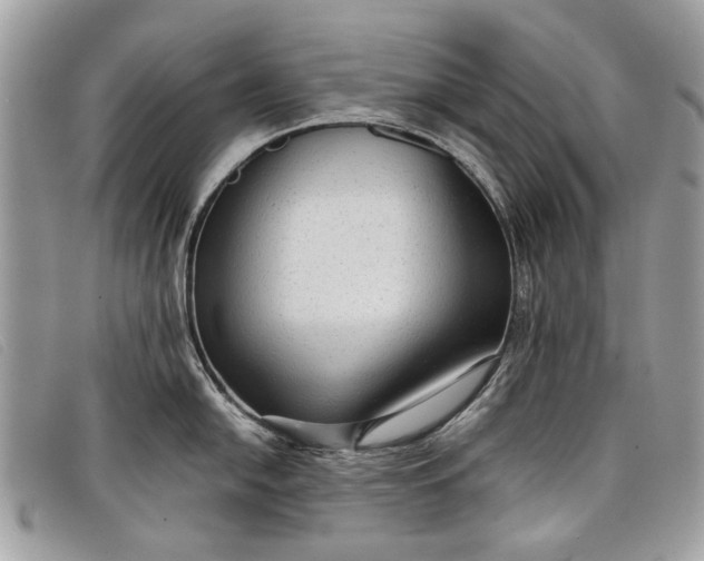 X0000098021054200804111253