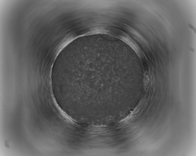 X0000098021055200804111253