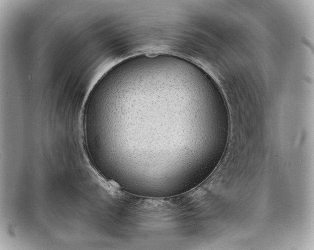 X0000098021056200804111253