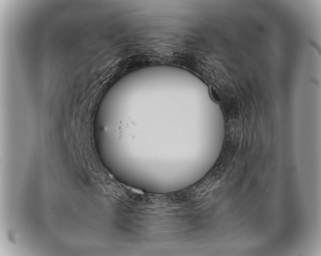 X0000098021057200804111252