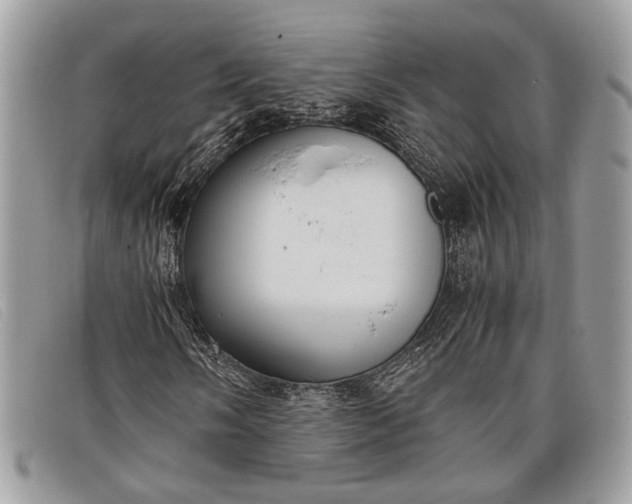 X0000098021058200804111252