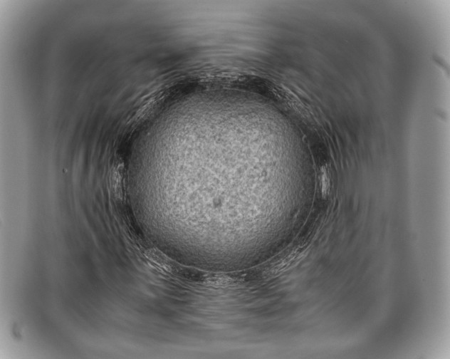 X0000098021059200804111252