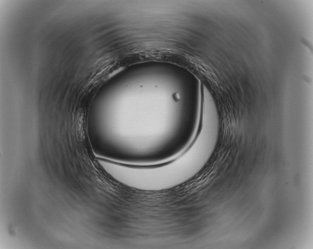 X0000098021060200804111252