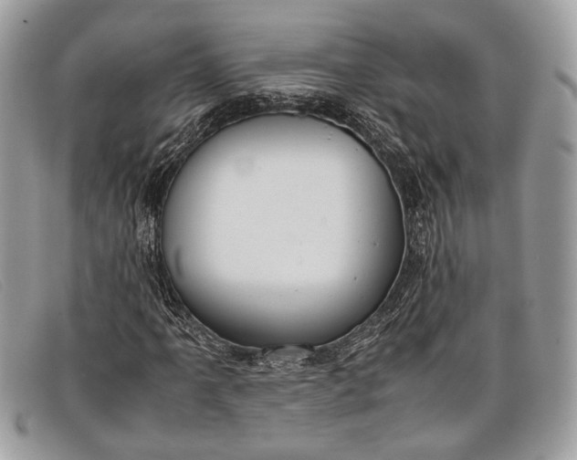 X0000098021061200804111252