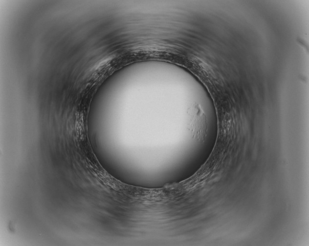 X0000098021062200804111252