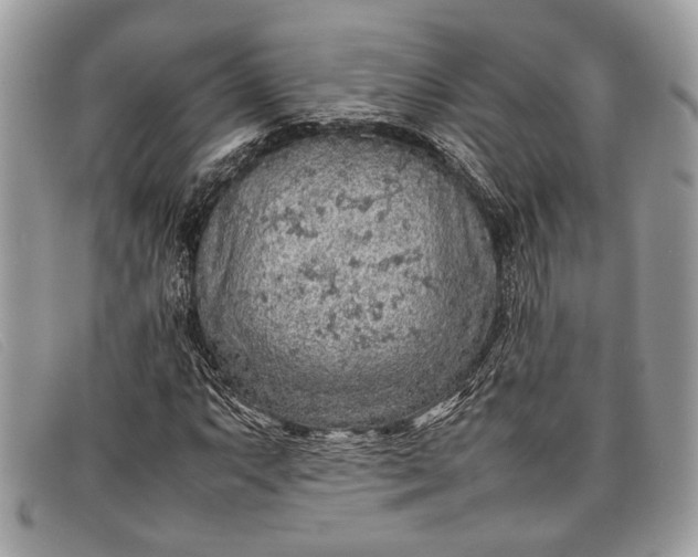 X0000098021063200804111252