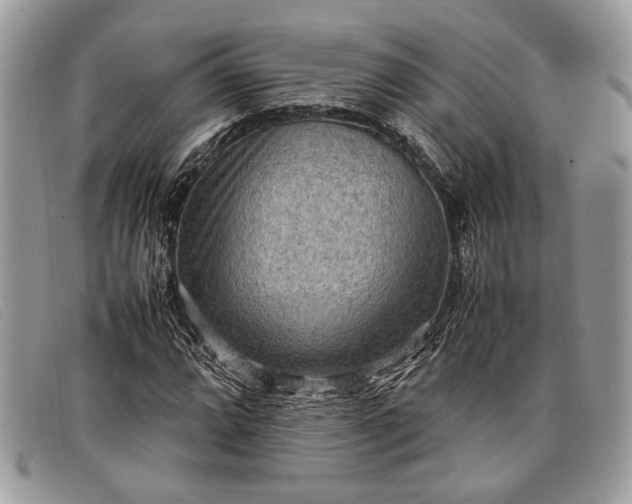 X0000098021064200804111252