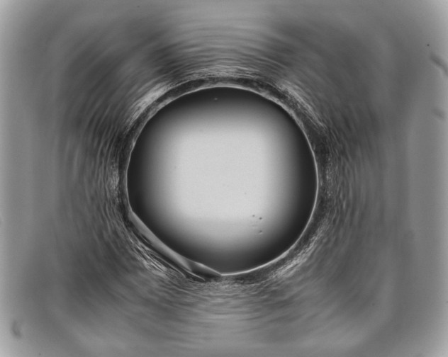 X0000098021065200804111252