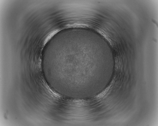 X0000098021066200804111252