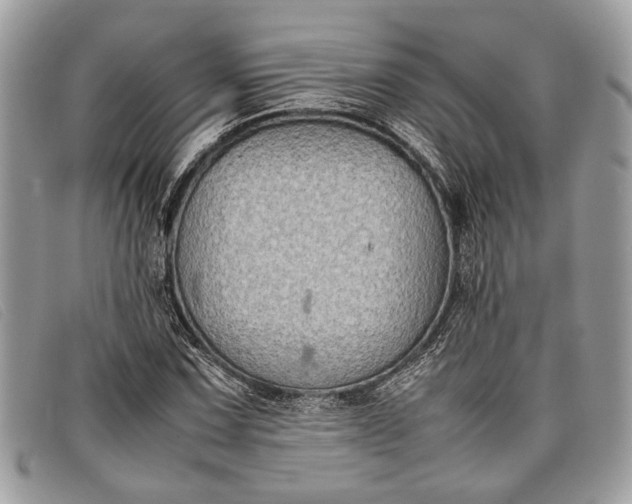 X0000098021067200804111252