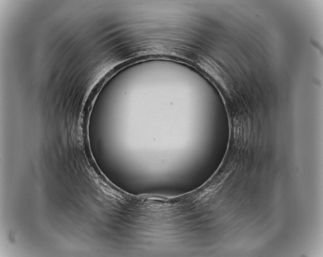 X0000098021068200804111252