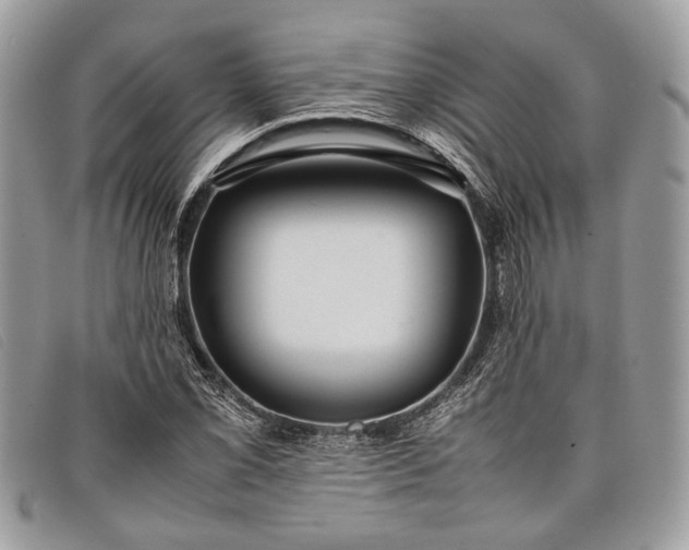 X0000098021069200804111252