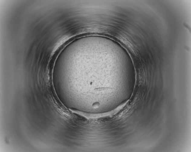 X0000098021070200804111252