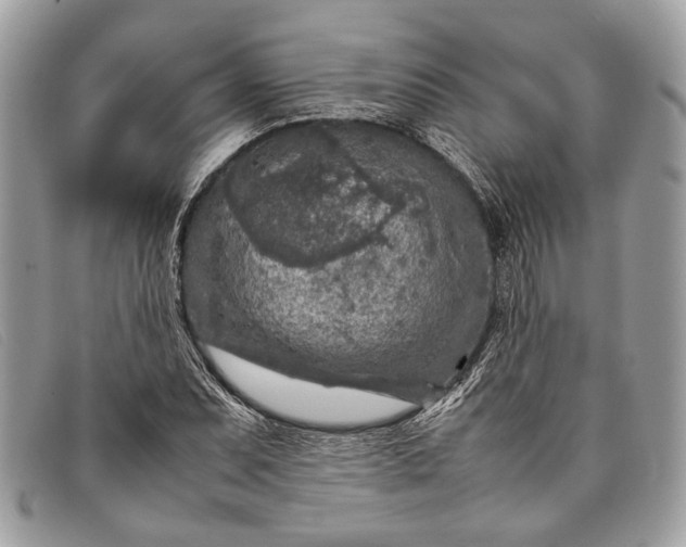 X0000098021071200804111252