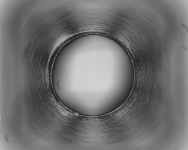 X0000098021072200804111252