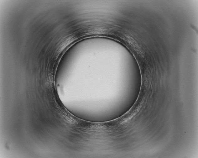 X0000098021073200804111252