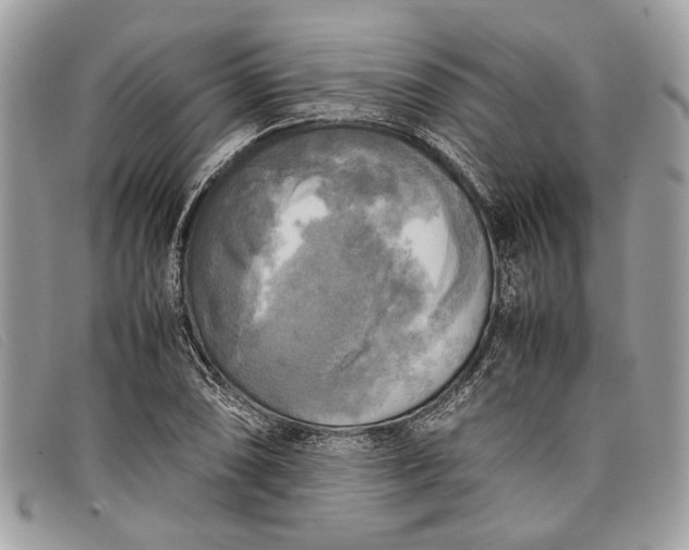 X0000098021074200804111252