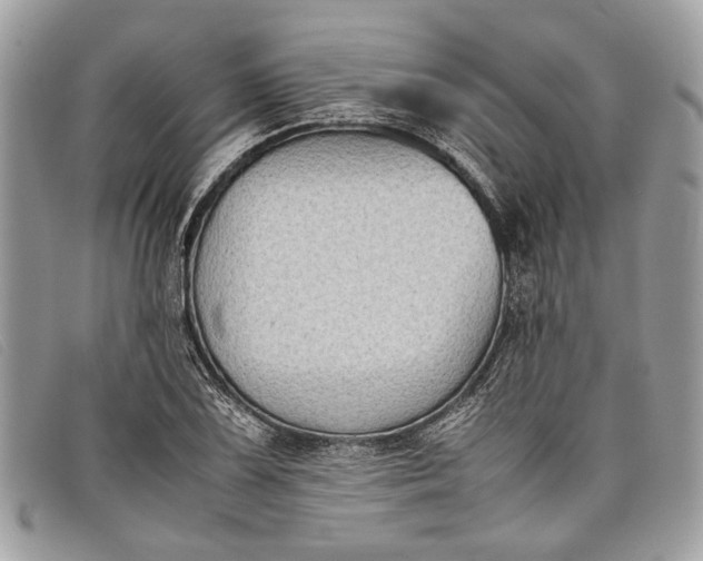 X0000098021075200804111252