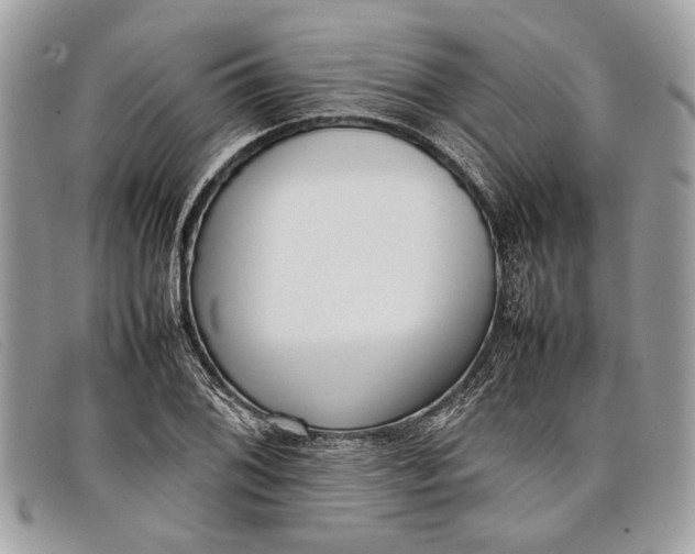 X0000098021076200804111252