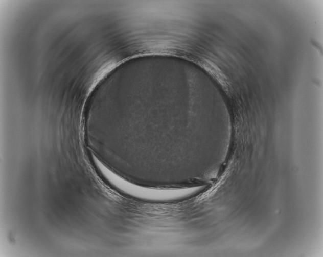 X0000098021077200804111252