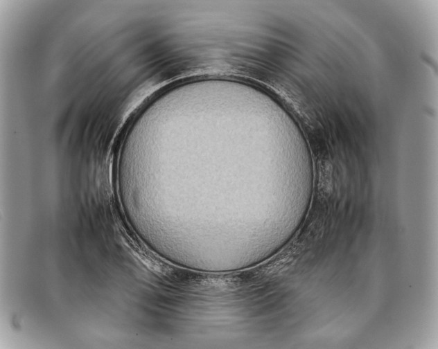 X0000098021078200804111252