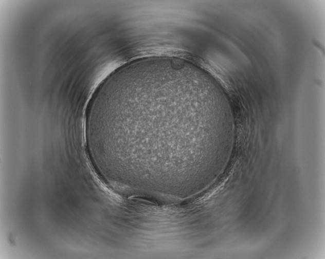 X0000098021079200804111252