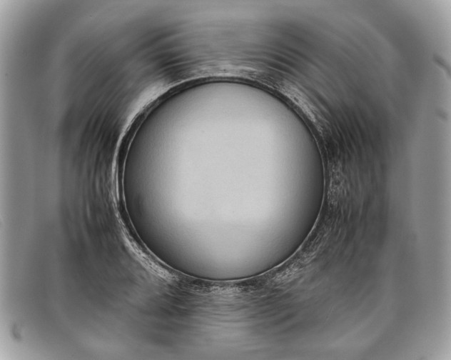 X0000098021080200804111252