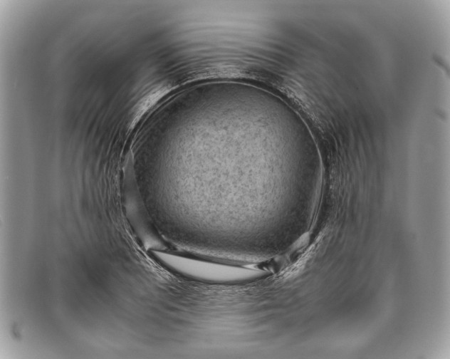 X0000098021081200804111252