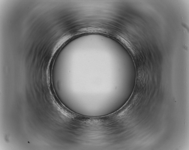 X0000098021082200804111252