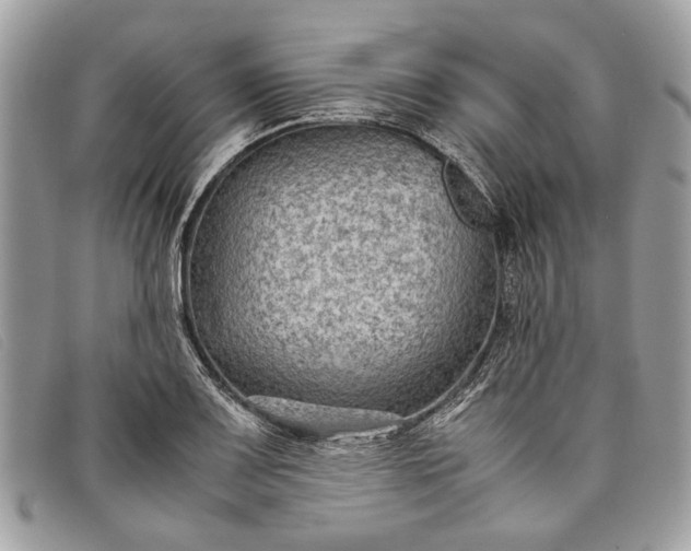 X0000098021083200804111252