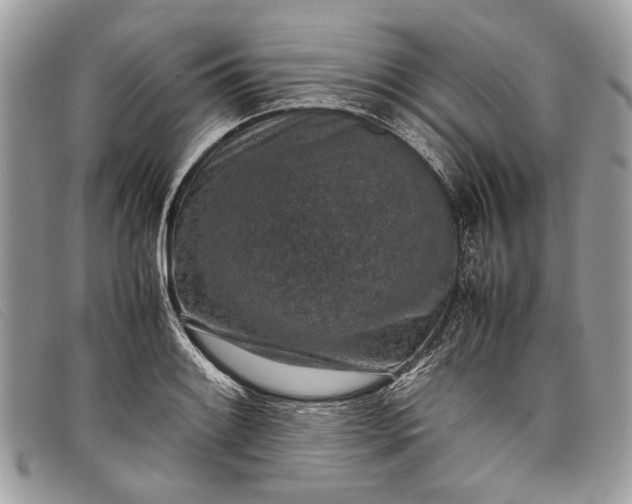 X0000098021084200804111252