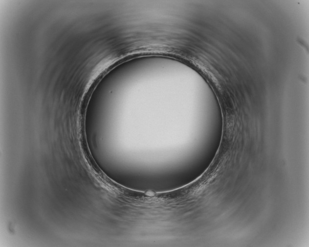 X0000098021085200804111251