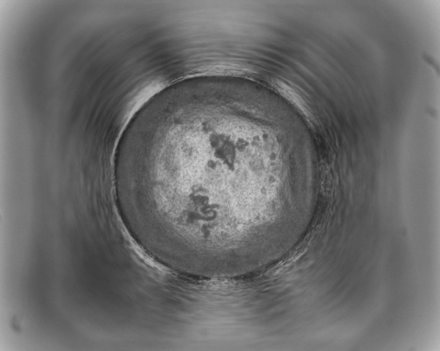 X0000098021087200804111251