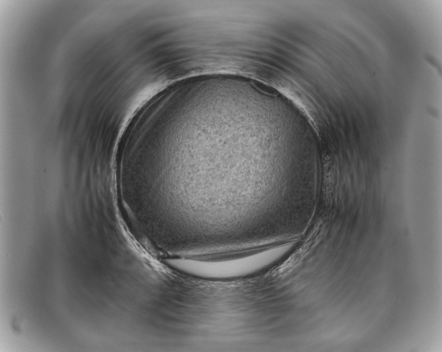 X0000098021088200804111251