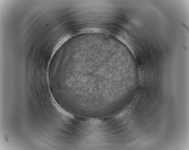 X0000098021090200804111251