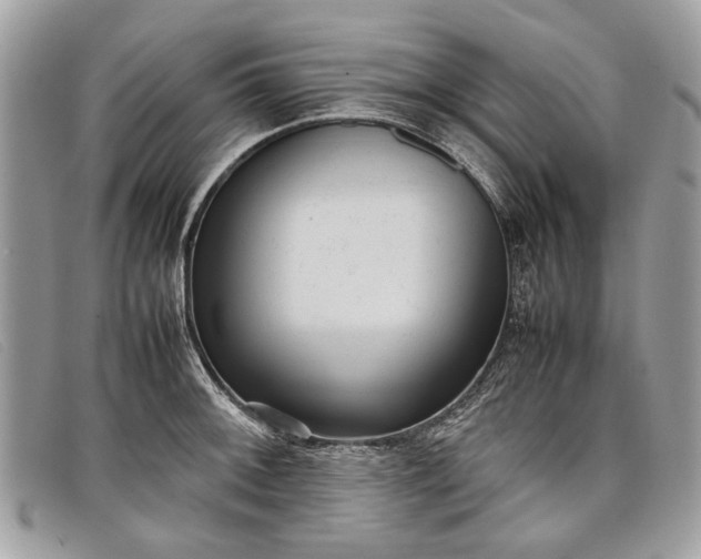 X0000098021092200804111251