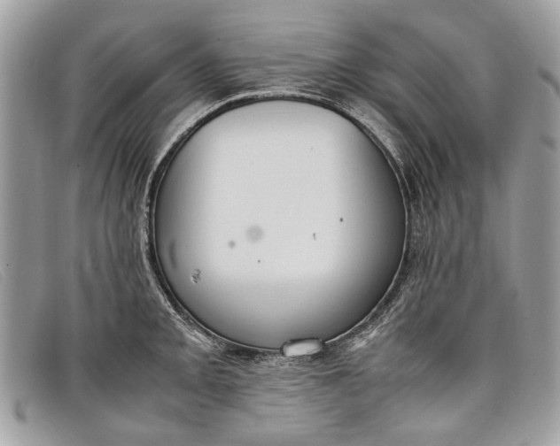 X0000098021093200804111251