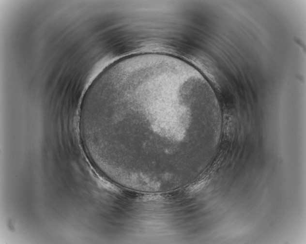 X0000098021094200804111251