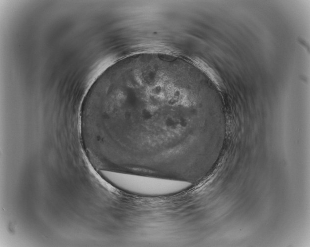 X0000098021095200804111251