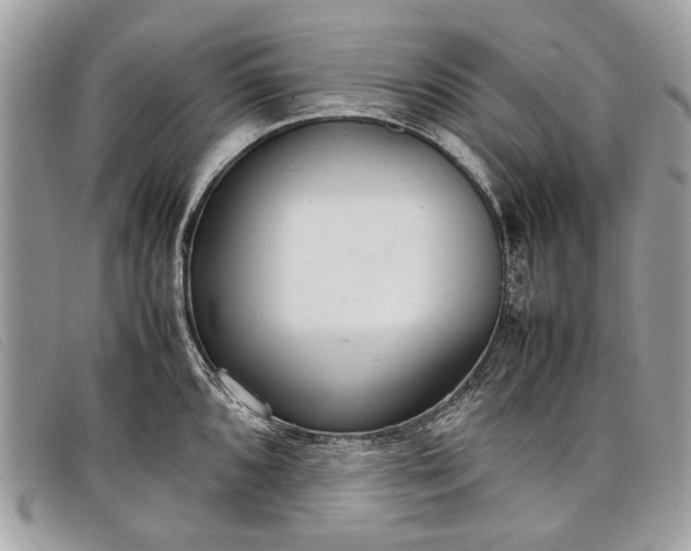 X0000098021096200804111251