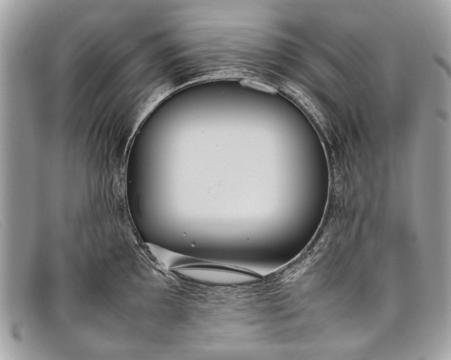 X0000098021097200804111251