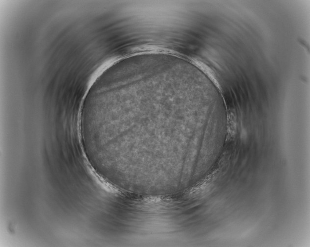 X0000098021098200804111251