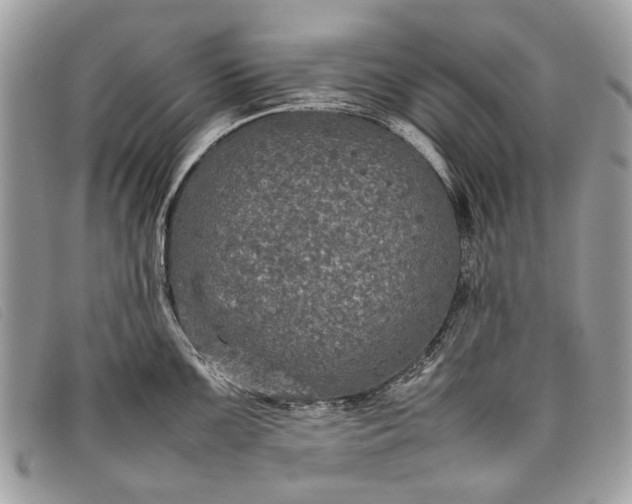 X0000098021099200804111251