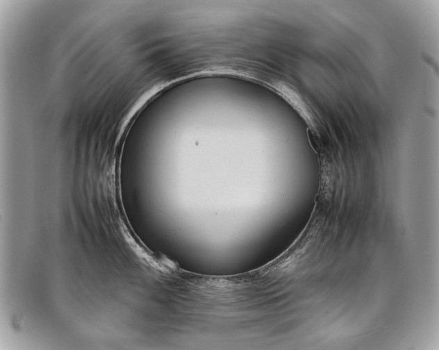 X0000098021100200804111251