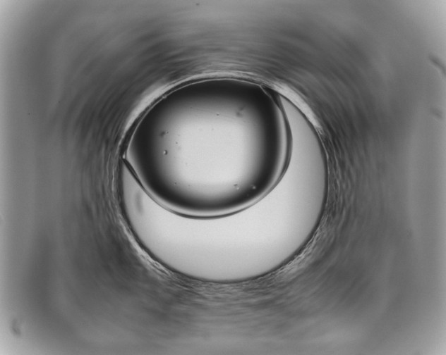 X0000098021101200804111251